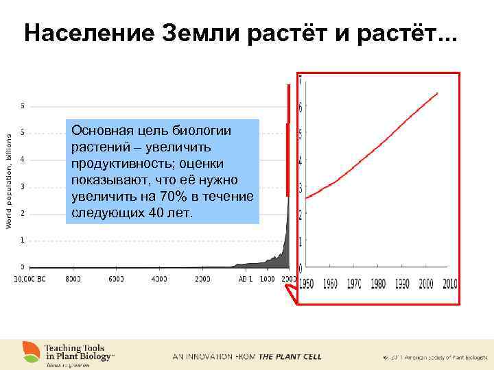 Население Земли растёт. . . Основная цель биологии растений – увеличить продуктивность; оценки показывают,