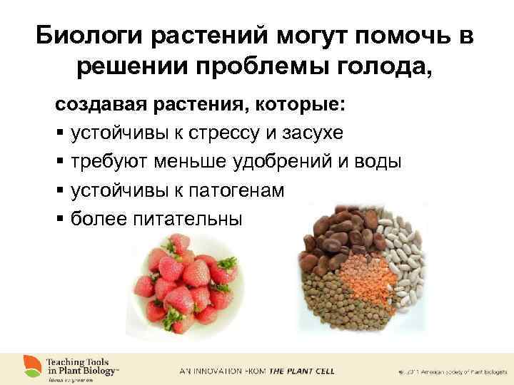 Биологи растений могут помочь в решении проблемы голода, создавая растения, которые: § устойчивы к