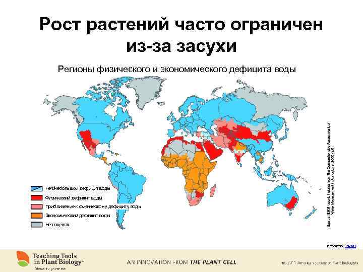 Рост растений часто ограничен из-за засухи Регионы физического и экономического дефицита воды Нет/небольшой дефицит