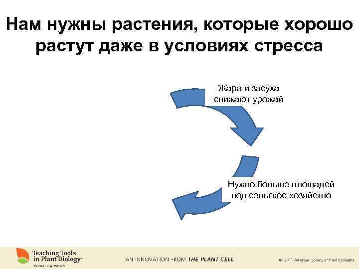 Нам нужны растения, которые хорошо растут даже в условиях стресса Жара и засуха снижают