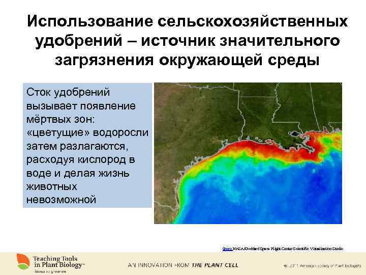 Использование сельскохозяйственных удобрений – источник значительного загрязнения окружающей среды Сток удобрений вызывает появление мёртвых