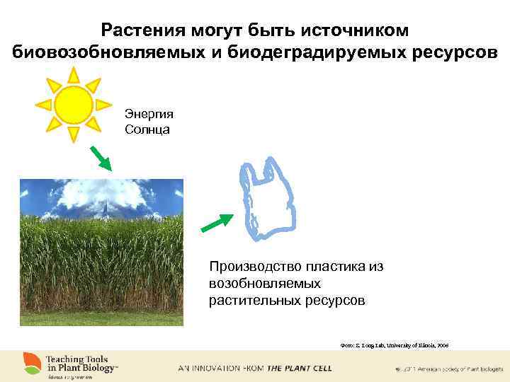Растения могут быть источником биовозобновляемых и биодеградируемых ресурсов Энергия Солнца Производство пластика из возобновляемых