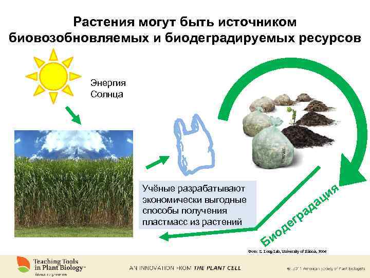 Растения могут быть источником биовозобновляемых и биодеградируемых ресурсов Энергия Солнца Учёные разрабатывают экономически выгодные