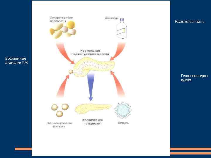 Наследственность Врожденные аномалии ПЖ Гиперпаратирео идизм 