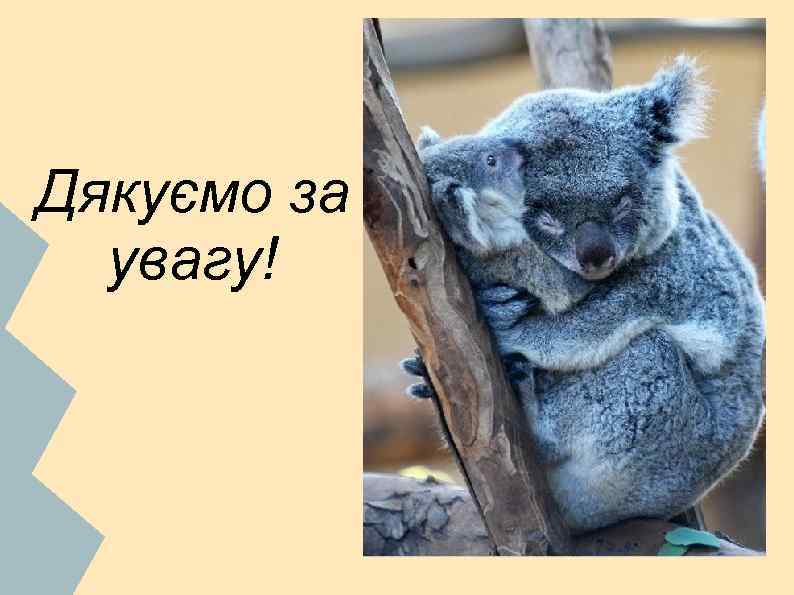 Дякуємо за увагу! 