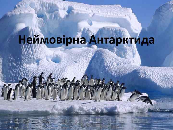 Неймовірна Антарктида 