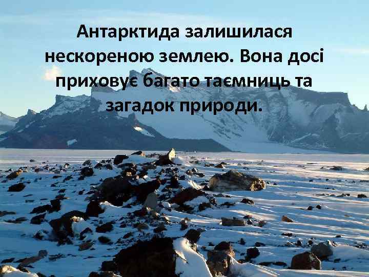 Антарктида залишилася нескореною землею. Вона досі приховує багато таємниць та загадок природи. 