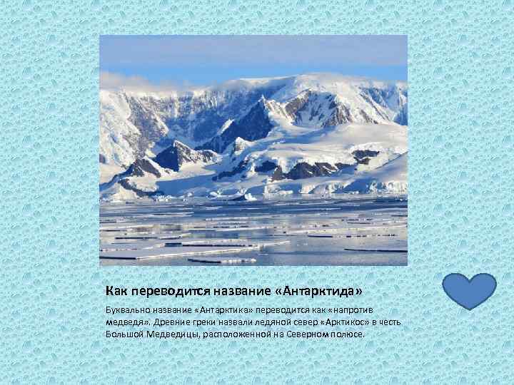 Как переводится название «Антарктида» Буквально название «Антарктика» переводится как «напротив медведя» . Древние греки