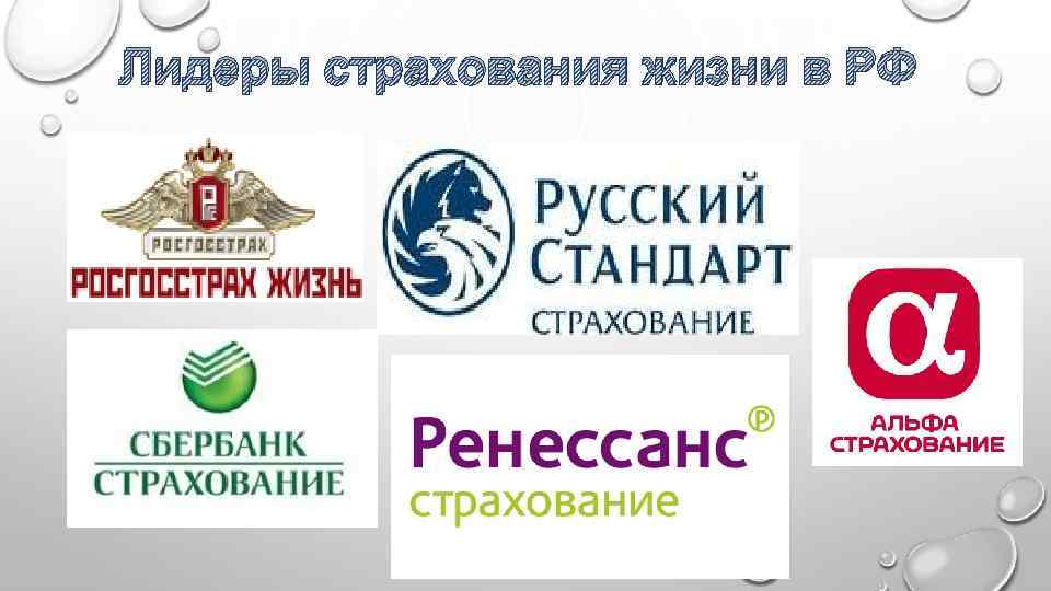 Лидеры страхования жизни в РФ 