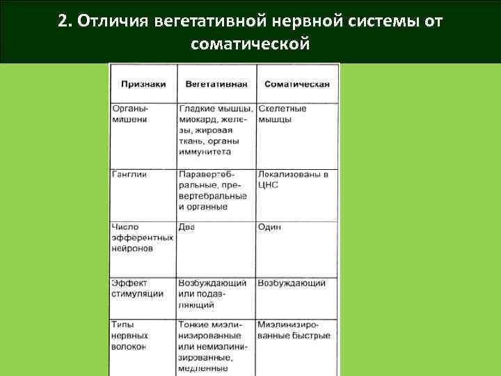 2. Отличия вегетативной нервной системы от соматической 