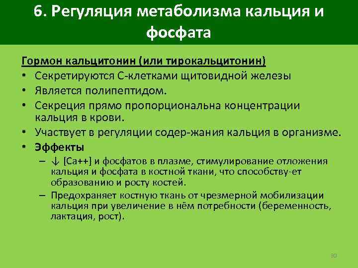 6. Регуляция метаболизма кальция и фосфата Гормон кальцитонин (или тирокальцитонин) • Секретируются С клетками