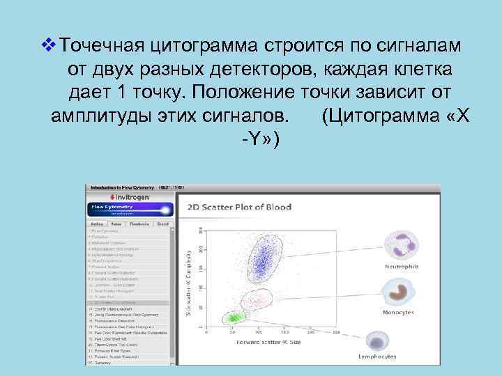v Точечная цитограмма строится по сигналам от двух разных детекторов, каждая клетка дает 1