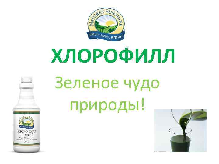 ХЛОРОФИЛЛ Зеленое чудо природы! 