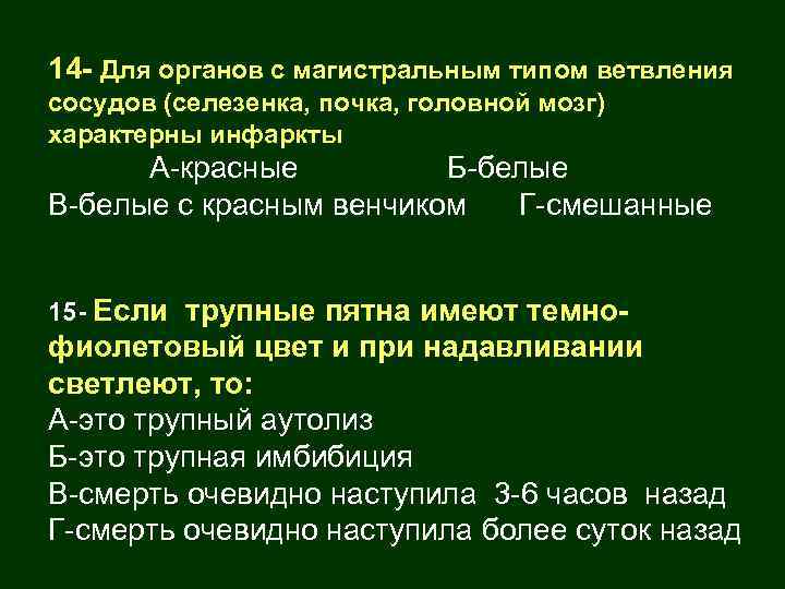 14 - Для органов с магистральным типом ветвления сосудов (селезенка, почка, головной мозг) характерны