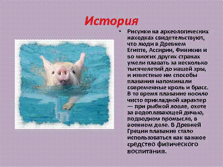 История • Рисунки на археологических находках свидетельствуют, что люди в Древнем Египте, Ассирии, Финикии