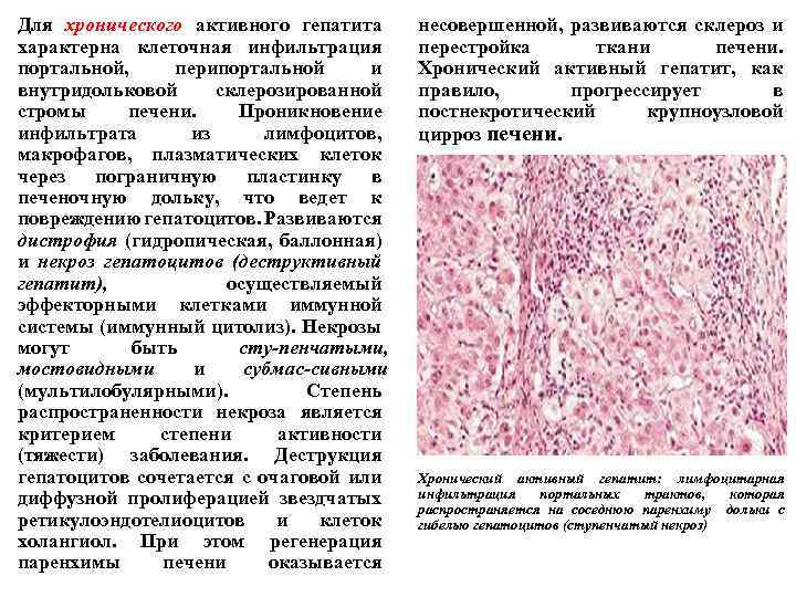 Патанатомия в схемах и таблицах благодаров