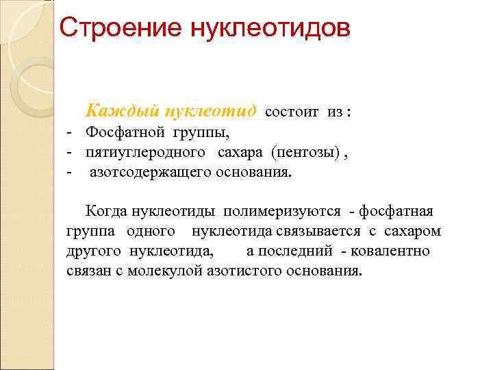 Строение нуклеотидов Каждый нуклеотид состоит из : - Фосфатной группы, - пятиуглеродного сахара (пентозы)