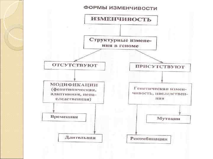 Схема формы изменчивости бактерий