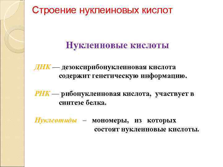Строение нуклеиновых кислот Нуклеиновые кислоты ДНК — дезоксирибонуклеиновая кислота содержит генетическую информацию. РНК —