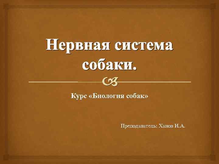 Нервная система собаки. Курс «Биология собак» Преподаватель: Ханов И. А. 