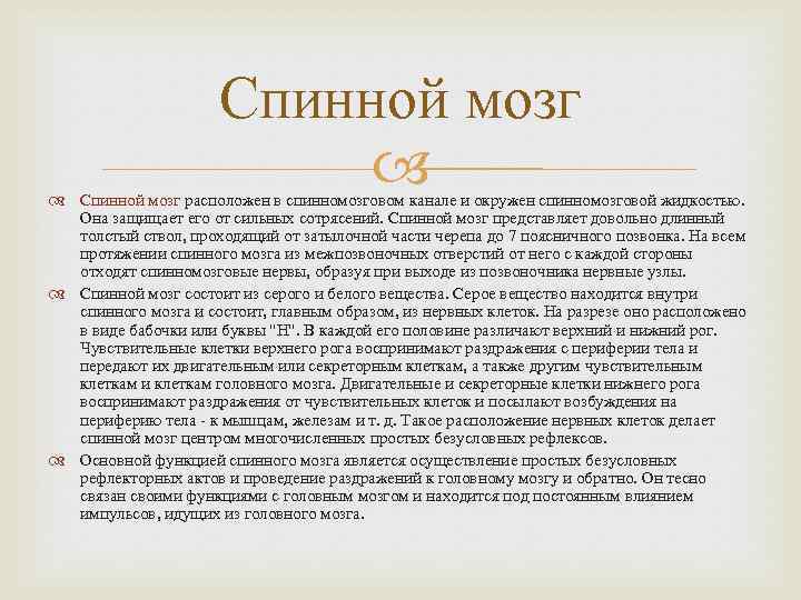 Спинной мозг расположен в спинномозговом канале и окружен спинномозговой жидкостью. Она защищает его от