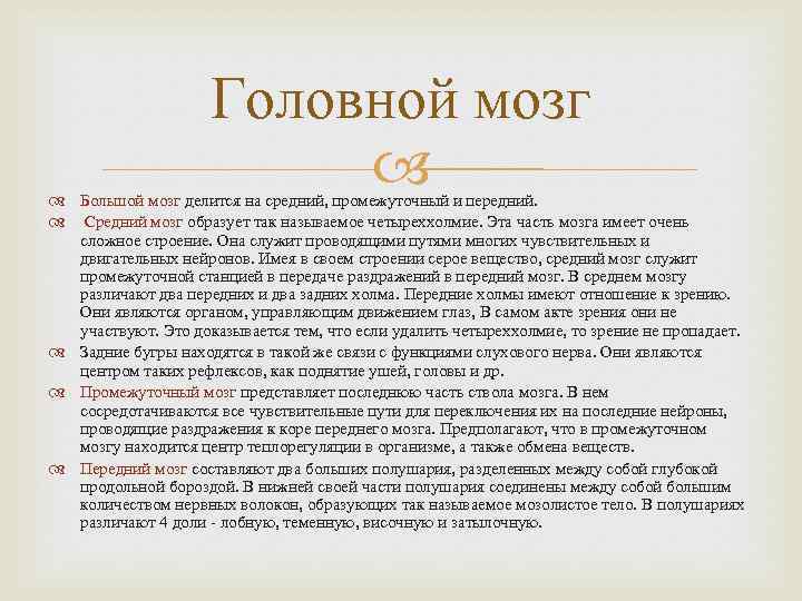 Головной мозг Большой мозг делится на средний, промежуточный и передний. Средний мозг образует так