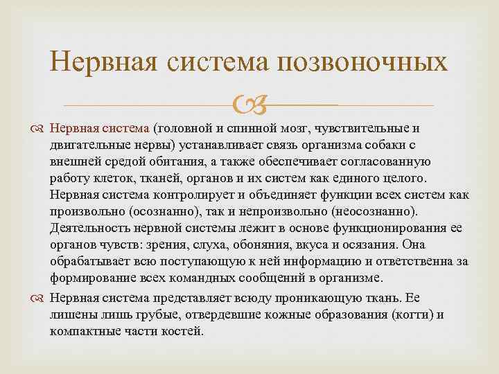 Нервная система позвоночных Нервная система (головной и спинной мозг, чувствительные и двигательные нервы) устанавливает