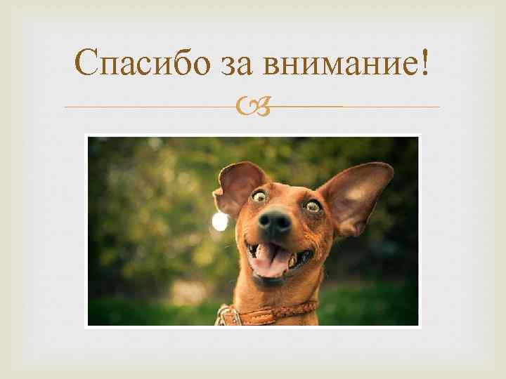 Спасибо за внимание! 