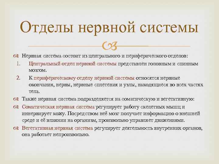 Отделы нервной системы Нервная система состоит из центрального и периферического отделов: 1. Центральный отдел