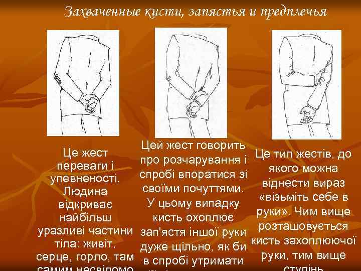 Захваченные кисти, запястья и предплечья Це жест переваги і упевненості. Людина відкриває найбільш уразливі