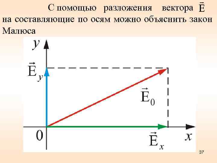 С помощью разложения вектора на составляющие по осям можно объяснить закон Малюса 37 