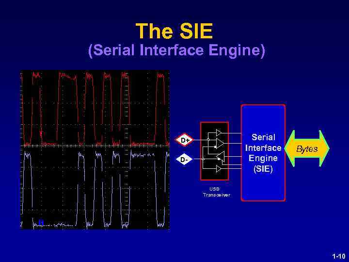 The SIE (Serial Interface Engine) Serial Interface Engine (SIE) D+ D- Bytes USB Transceiver