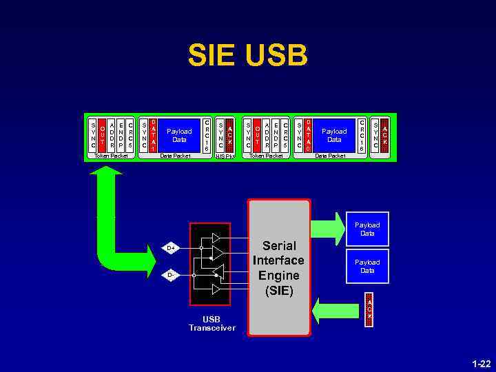 SIE USB S A E C O Y D N R U N D