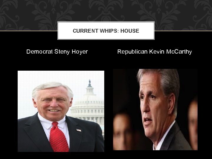 CURRENT WHIPS: HOUSE Democrat Steny Hoyer Republican Kevin Mc. Carthy 