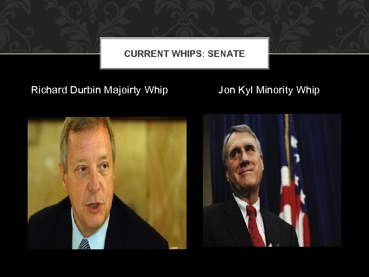 CURRENT WHIPS: SENATE Richard Durbin Majoirty Whip Jon Kyl Minority Whip 