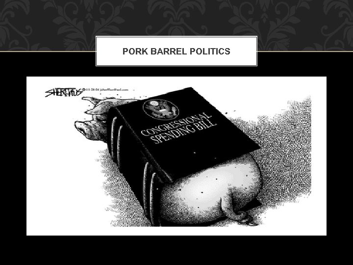 PORK BARREL POLITICS 