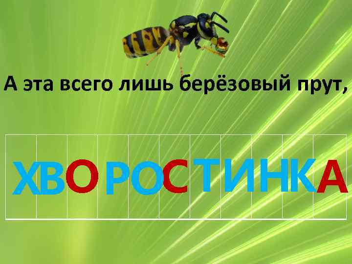 А эта всего лишь берёзовый прут, ХВО РОС ТИНКА 