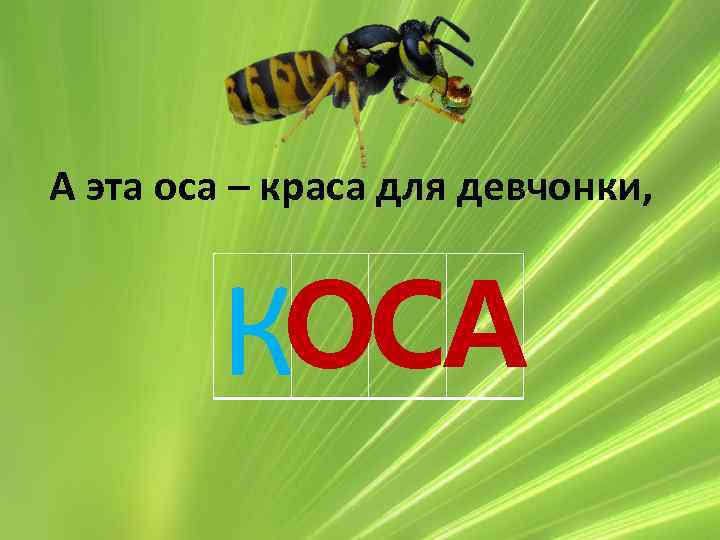А эта оса – краса для девчонки, КОСА 