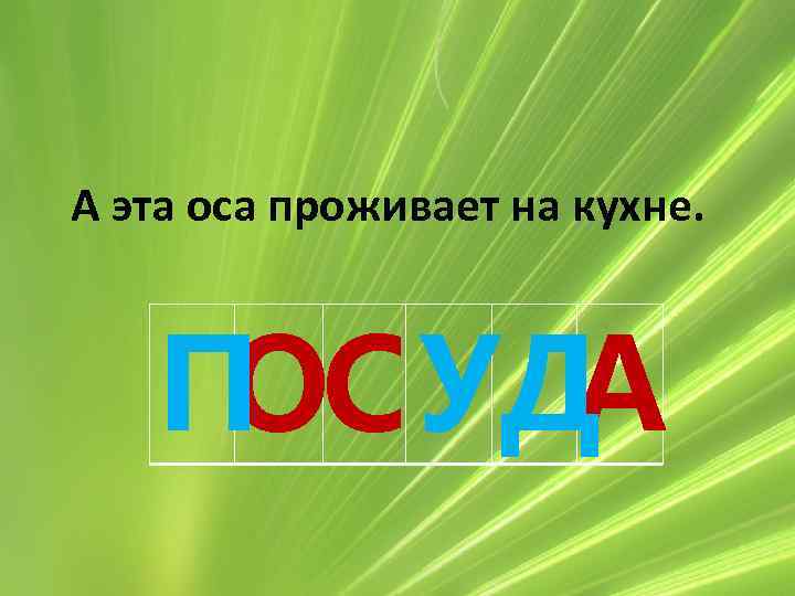 А эта оса проживает на кухне. ОС А П УД 
