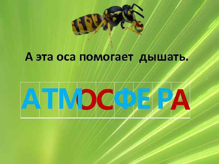 А эта оса помогает дышать. АТМ ФЕ РА ОС 