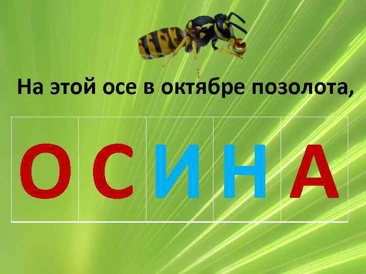 Осе это. На этой Осе в октябре позолота. На этой Осе в октябре позолота отгадка. На этой Осе в октябре. Загадка на этой Осе в октябре позолота.