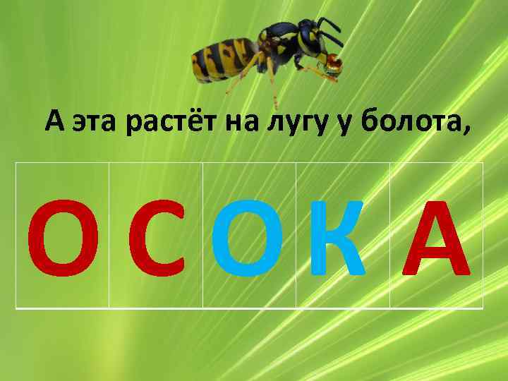 А эта растёт на лугу у болота, О СОК А 