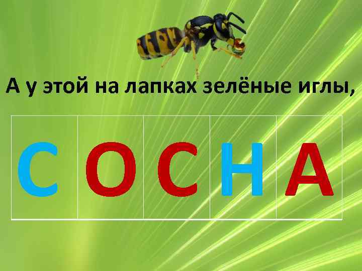 А у этой на лапках зелёные иглы, С ОСНА 