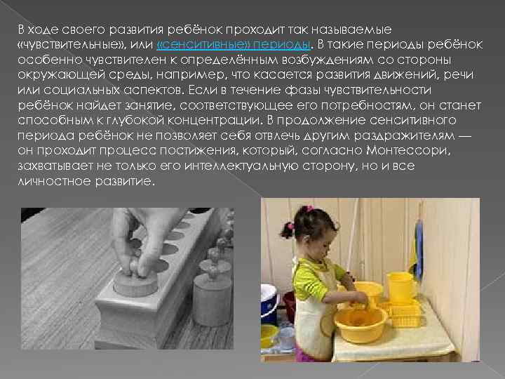В ходе своего развития ребёнок проходит так называемые «чувствительные» , или «сенситивные» периоды. В