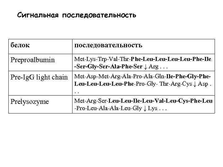 Сигнальная последовательность белок последовательность Preproalbumin Met-Lys-Trp-Val-Thr-Phe-Leu-Leu-Phe-Ile -Ser-Gly-Ser-Ala-Phe-Ser ↓ Arg. . . Pre-Ig. G light