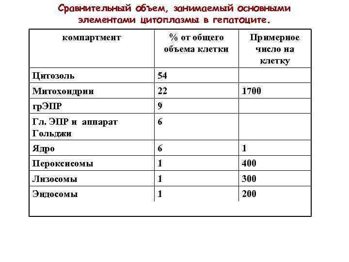 Сравнительный объем, занимаемый основными элементами цитоплазмы в гепатоците. компартмент % от общего объема клетки