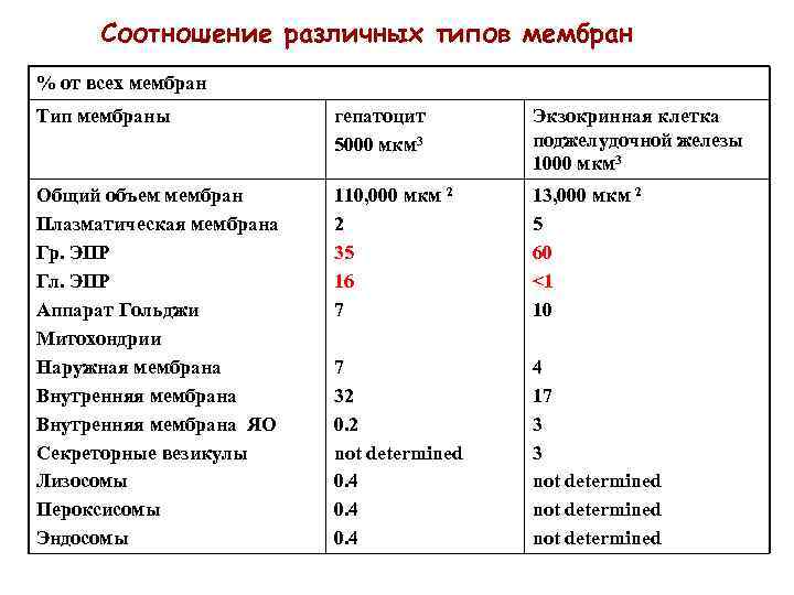 Соотношение различных типов мембран % от всех мембран Тип мембраны гепатоцит 5000 мкм 3