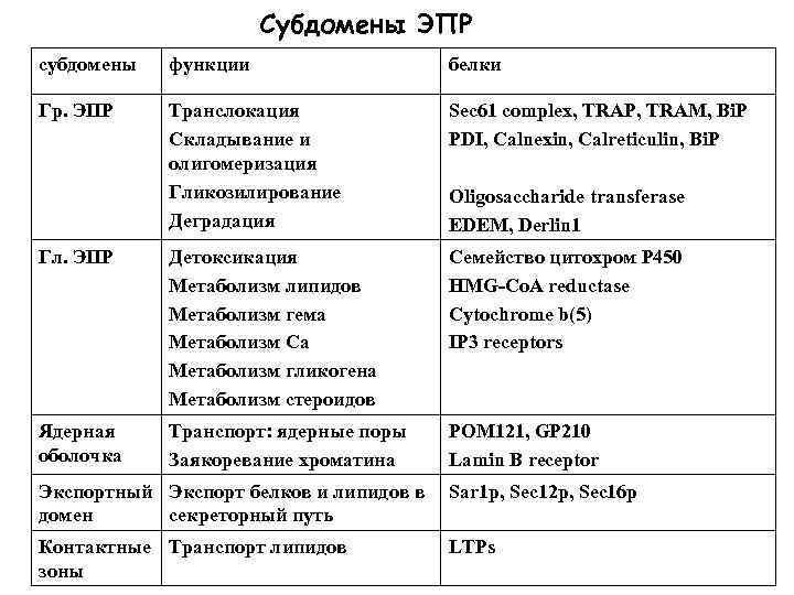 Субдомены ЭПР субдомены функции белки Гр. ЭПР Транслокация Складывание и олигомеризация Гликозилирование Деградация Sec