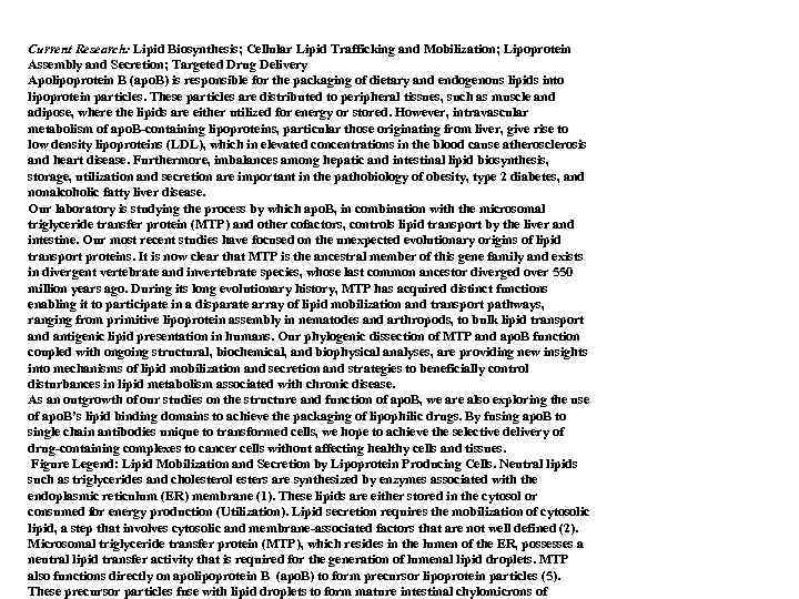 Current Research: Lipid Biosynthesis; Cellular Lipid Trafficking and Mobilization; Lipoprotein Assembly and Secretion; Targeted