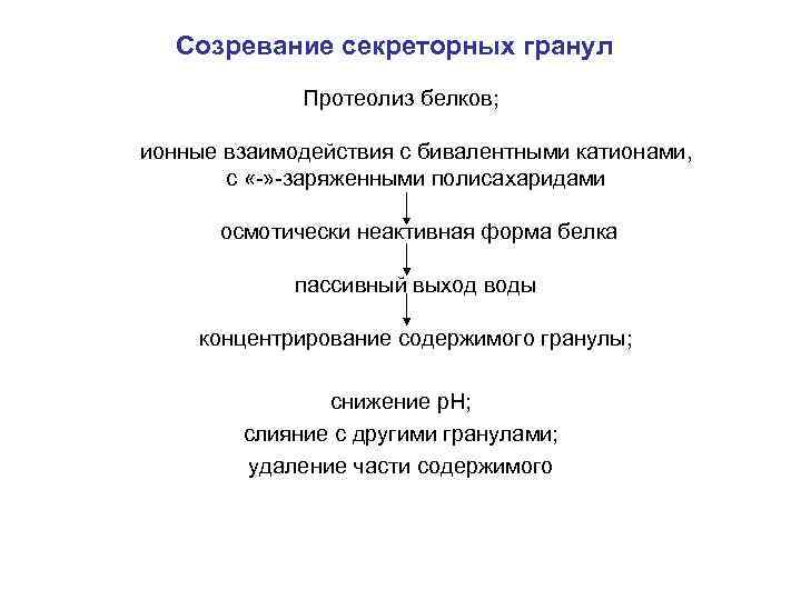 Созревание секреторных гранул Протеолиз белков; ионные взаимодействия с бивалентными катионами, с «-» -заряженными полисахаридами